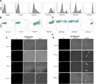 Two promising natural lipopeptides from Bacillus subtilis effectively induced membrane permeabilization in Candida glabrata